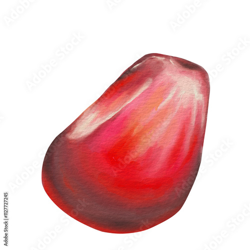 Pomegranate Seed Watercolor Minimalist Nature-Inspired Artwork for Prints, Decor, and Design Projects