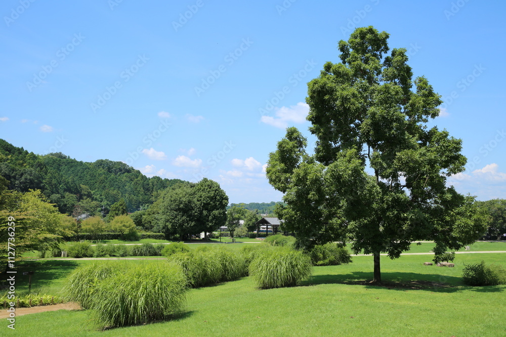 奈良の明日香村 奈良の明日香村