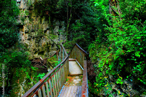 Daring scenery with a bridge from Sentiero Li Vurgacci in Pioraco, the tight wooden structure surrounded by impressive rocks, wild greenery, trees, and the Potenza river's waters flowing under it