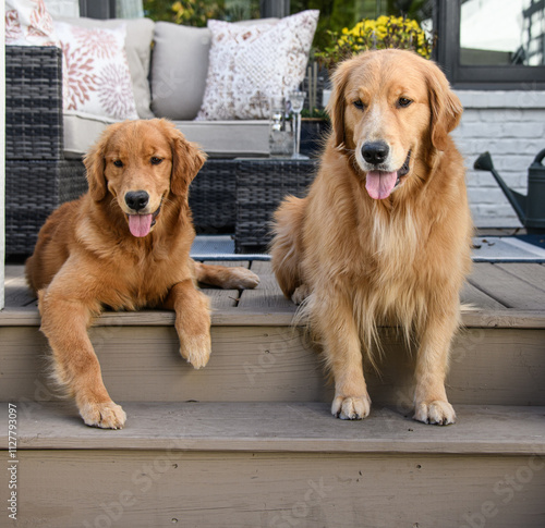 Izzy and Sunny