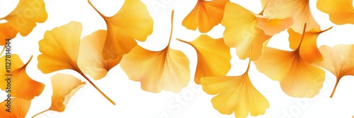 Golden Ginkgo biloba plant leaf in Fall closeup view.