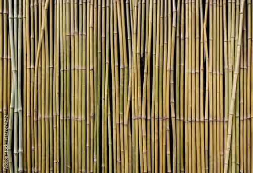 Golden Bamboo Wall: A Textured Natural Background