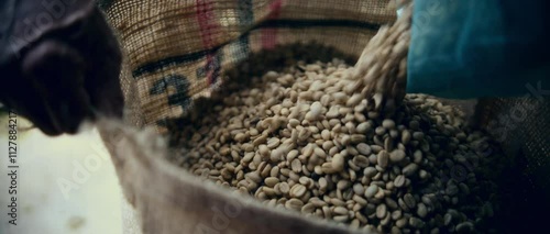Coffee Farming Production Colombia Organic Beans 