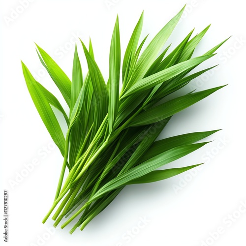 Fresh green leaves bunch, isolated on white background.