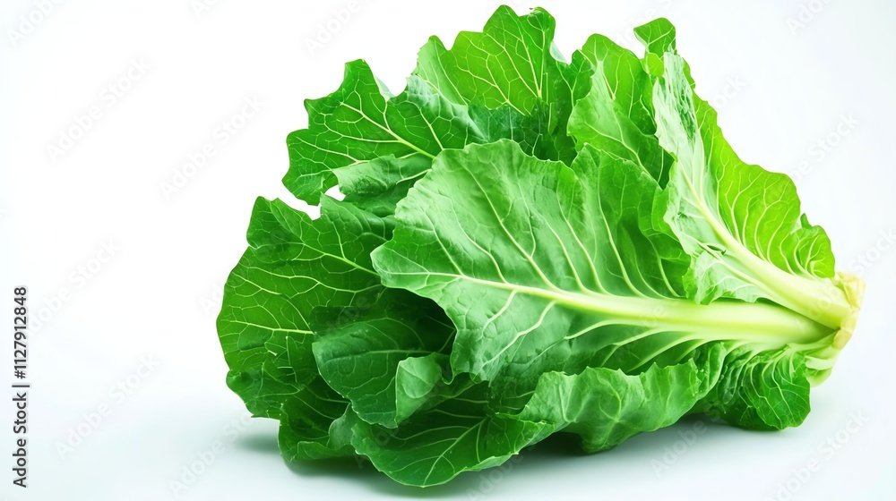 Fresh green leafy vegetable on a white isolated background. Fresh green leafy vegetable on a white isolated background.