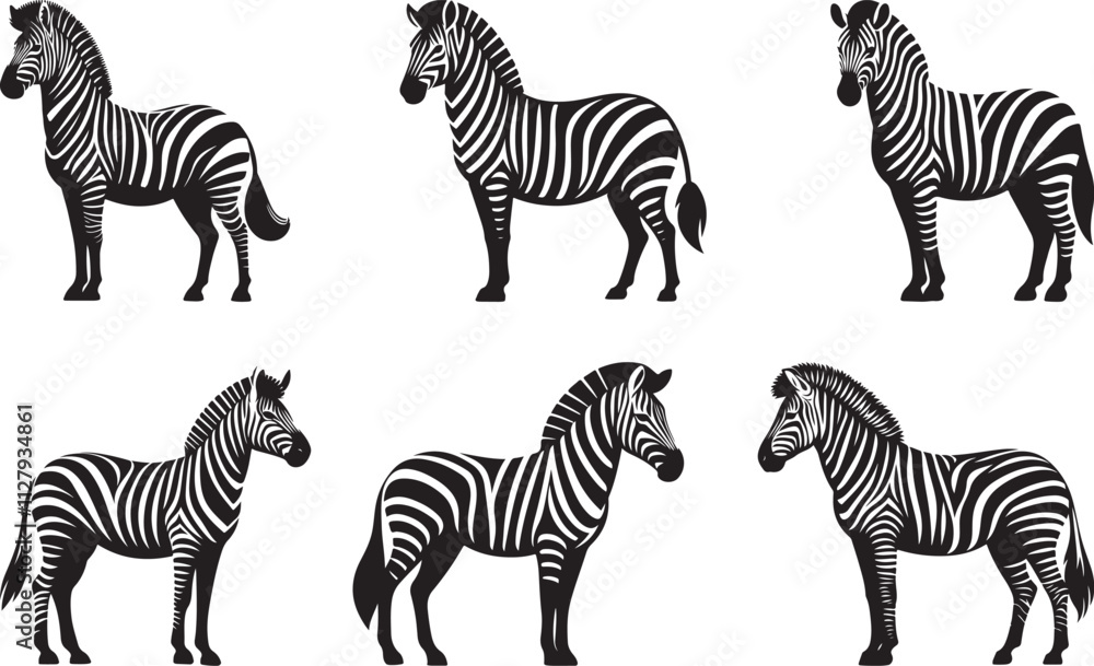 Obraz premium Zebra set Vector, Zebra silhouette vector illustration, Zebra isolated vector icon