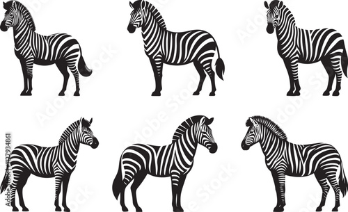Zebra set Vector, Zebra silhouette vector illustration, Zebra isolated vector icon