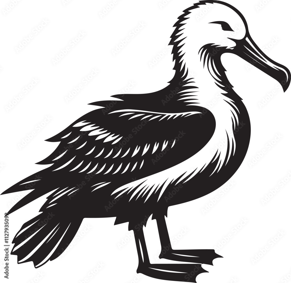 Fototapeta premium Albatross silhouette vector illustration, Albatross vector design