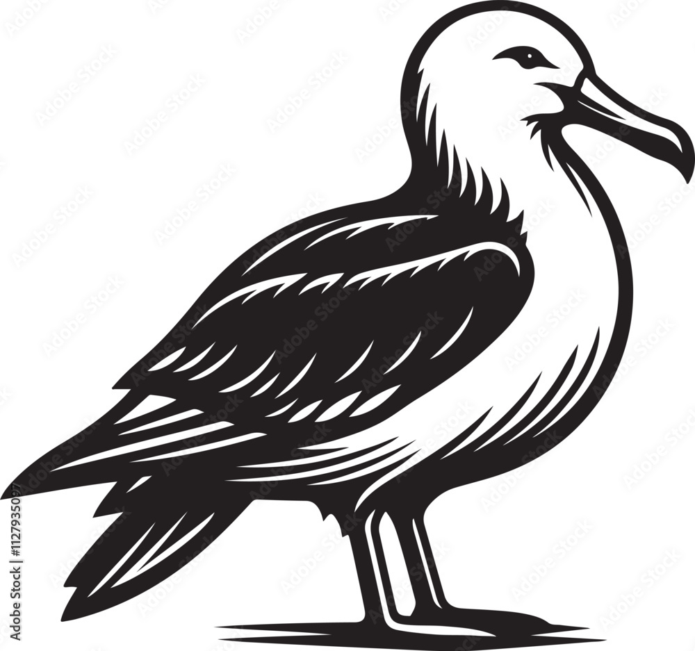 Fototapeta premium Albatross silhouette vector illustration, Albatross vector design