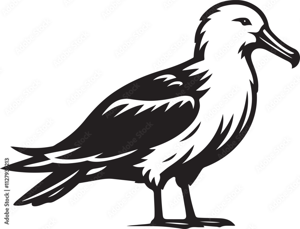 Fototapeta premium Albatross silhouette vector illustration, Albatross vector design