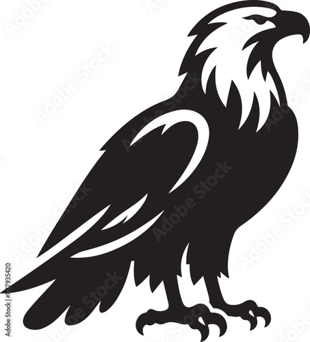 Standing Eagle vector, Eagle silhouette vector illustration photo