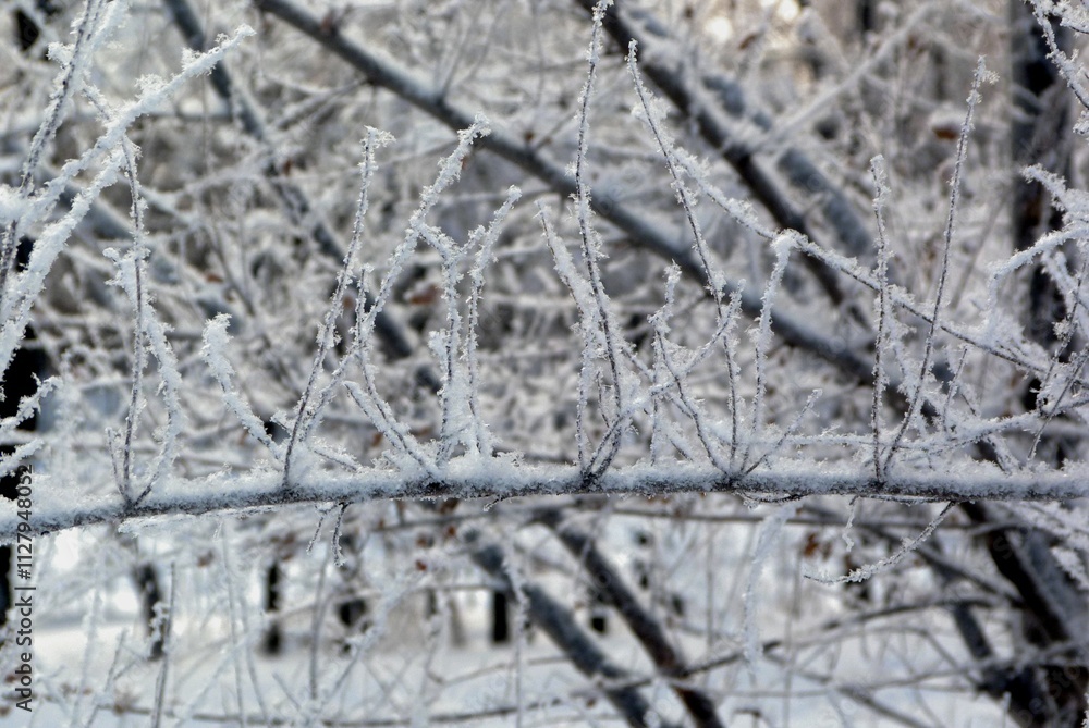 frost on the window frost on the window