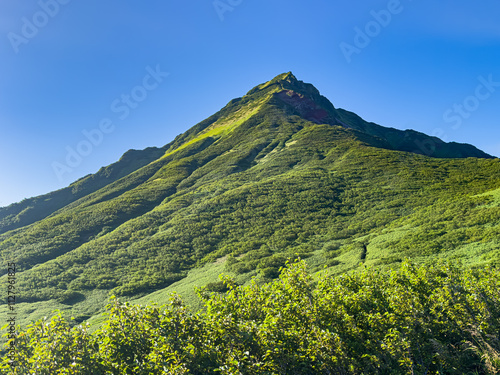 Obraz na płótnie 北海道の利尻島利尻山(利尻富士)の夏の風景 w salonie