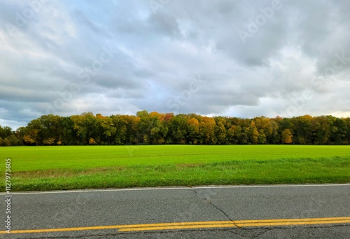 Road in the Fall Countryside
