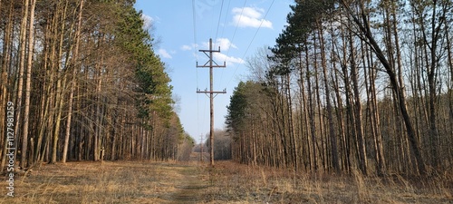 power line running through woods