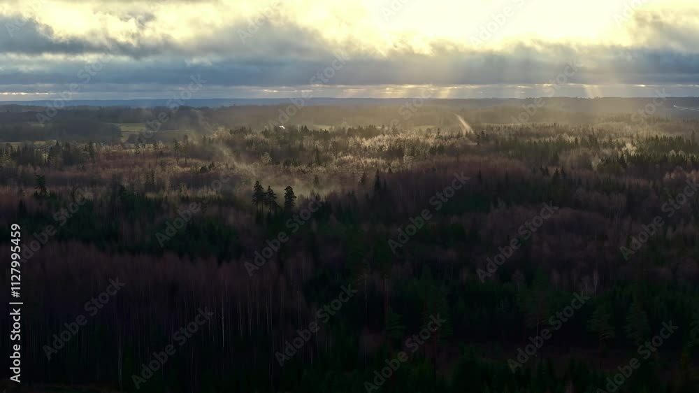 Aerial timelapse of forest breathing, shadows from clouds moving over serene green valleys and hills, dramatic landscape as sunlight breakst hrough clouds Aerial timelapse of forest breathing, shadows from clouds moving over serene green valleys and hills, dramatic landscape as sunlight breakst hrough clouds
