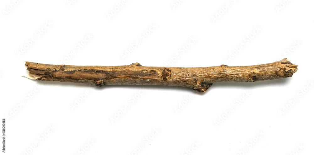 dry twigs isolated on white background dry twigs isolated on white background
