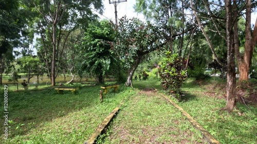 walking on pathway in abandoned or empty park with overgrown grass and dry trees leaves in the morning