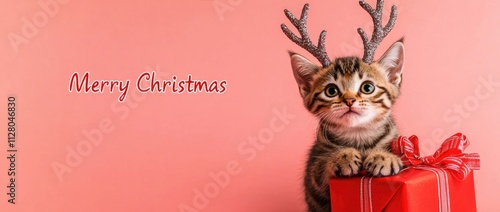 Photo of a cute cat wearing deer antlers and a red gift box, set against a solid-colored banner with the text 