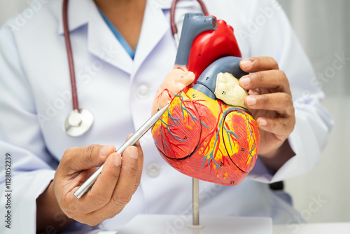 Obraz na płótnie Cardiovascular disease CVD, doctor with heart human model anatomy for treatment patient in hospital