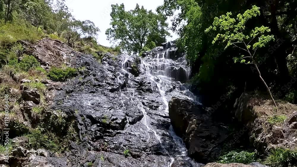 Kondalilla Falls Waterfall in the Lush Rainforest of Sunshine Coast Hinterland, Queensland – Hiking in Kondalilla National Park Kondalilla Falls Waterfall in the Lush Rainforest of Sunshine Coast Hinterland, Queensland – Hiking in Kondalilla National Park