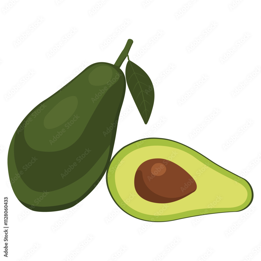 a vector of an avocado and avocado. a vector of an avocado and avocado.