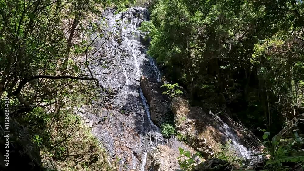 Kondalilla Falls Waterfall in the Lush Rainforest of Sunshine Coast Hinterland, Queensland – Hiking in Kondalilla National Park Kondalilla Falls Waterfall in the Lush Rainforest of Sunshine Coast Hinterland, Queensland – Hiking in Kondalilla National Park