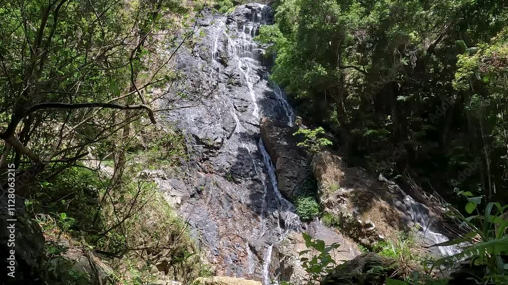 Kondalilla Falls Waterfall in the Lush Rainforest of Sunshine Coast Hinterland, Queensland – Hiking in Kondalilla National Park Kondalilla Falls Waterfall in the Lush Rainforest of Sunshine Coast Hinterland, Queensland – Hiking in Kondalilla National Park