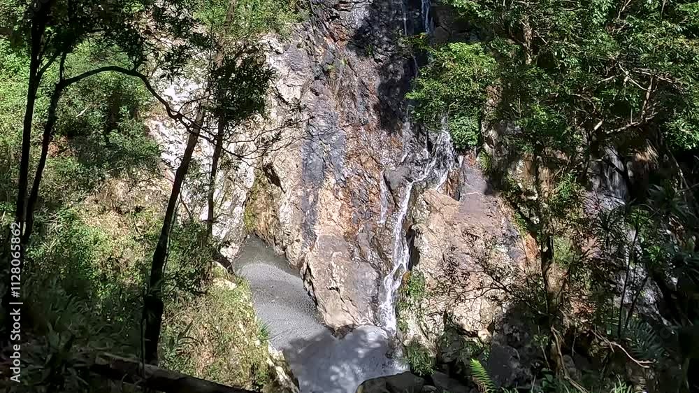 Kondalilla Falls Waterfall in the Lush Rainforest of Sunshine Coast Hinterland, Queensland – Hiking in Kondalilla National Park Kondalilla Falls Waterfall in the Lush Rainforest of Sunshine Coast Hinterland, Queensland – Hiking in Kondalilla National Park