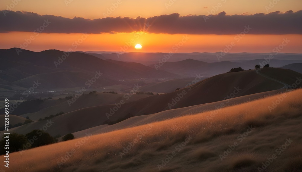 Obraz premium Morning Sunrise Evening Sunset Ocean Palm Coconut Tree Sunlight Peaceful Horizon Background Texture