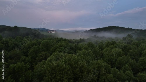 Drone shot pushing in over trees and through fog in a Georgia forest at sunset in the summer. photo