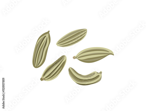 Fennel seeds isolated on white background. Vector cartoon flat illustration. 