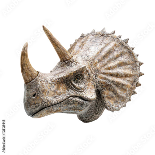 Triceratops Dinosaur Head on Transparent Background