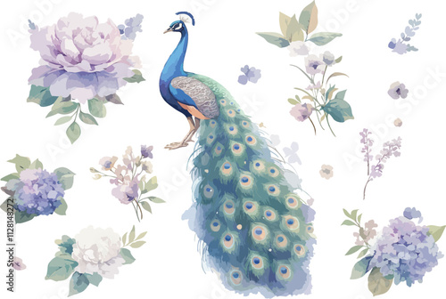 floral peacock watercolor clipart