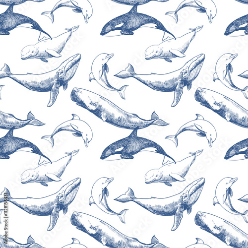 Seamless pattern with marine mammals. Hand drawn vector sketch in engraving technique. Sperm whale, humpback whale, dolphin, beluga whale, killer whale. Monochrome ink drawing.