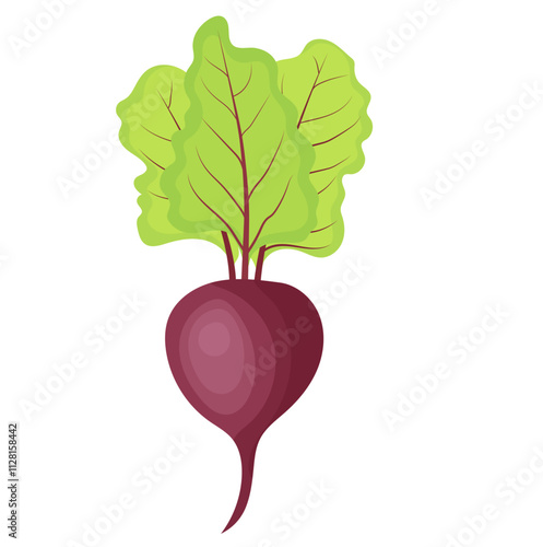 Single Red Beetroot Vegetable Illustration Isolated on White Background