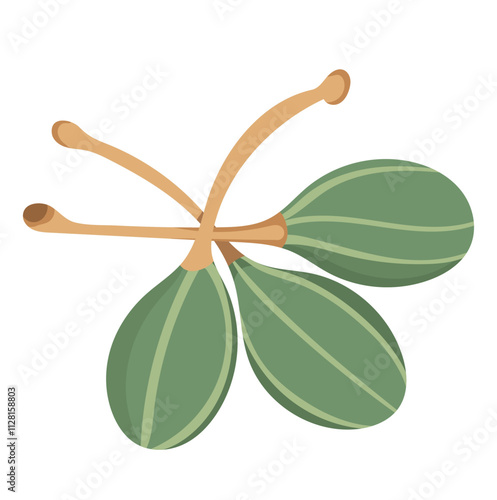 Fresh Green Capers Fruit Illustration Isolated on White Background