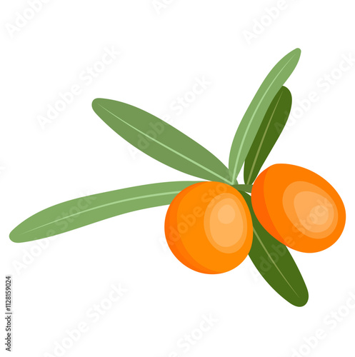 Ripe Sea Buckthorn Berries Fruit with Leaves Illustration Isolated on White Background