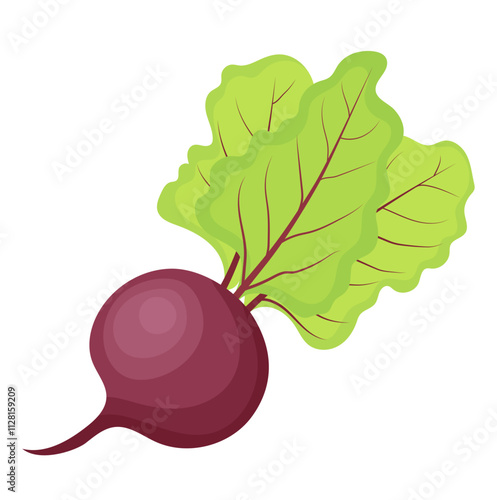 Single Red Beetroot Vegetable Illustration Isolated on White Background