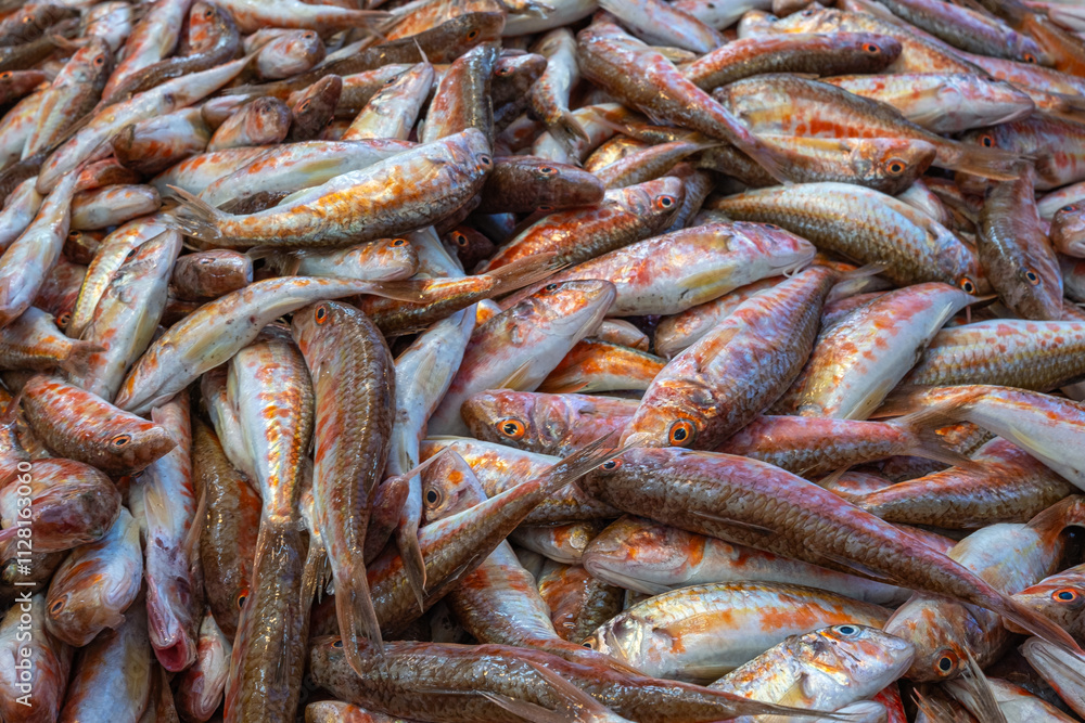 red mullet. fresh fish at the market. tekir or barbun. red mullet. fresh fish at the market. tekir or barbun.