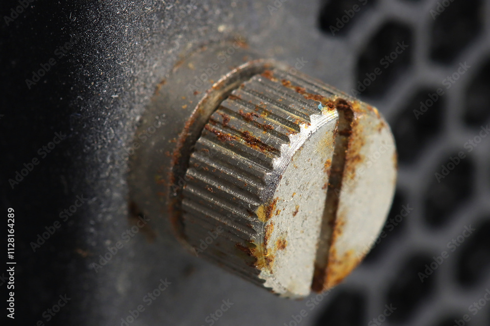 A rusty metal screw securing the computer server panel. Close-up. Soft focus. A rusty metal screw securing the computer server panel. Close-up. Soft focus.
