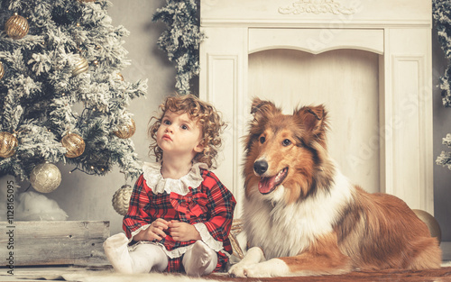 Schöne rough Collies Langhaar amerikanisch sable white mit 1 hübschen Kleinkind Mädchen in Weihnachtskulisse Var. 1