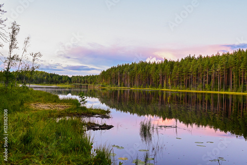 Typical Estonian Landscape of a Moorland Forest Lake Surrounded by Spruces and Firs with Reflection of the Beautiful Sky at Sunset in Golden Hour in Estonia
