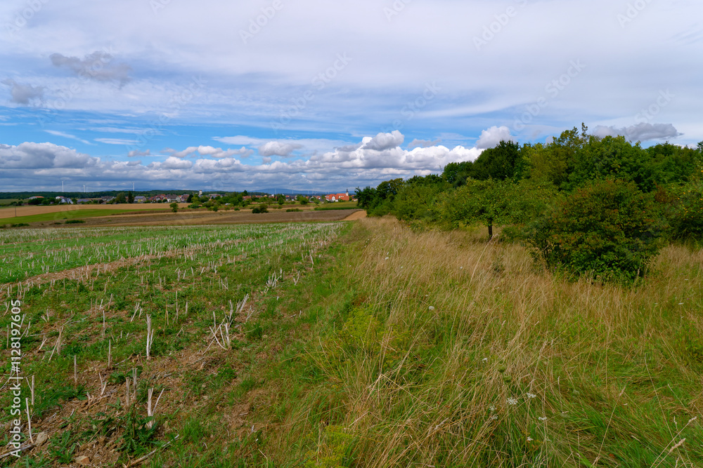 Obraz premium Blick zur Gemeinde Rannungen, Landkreis Bad Kissingen, Unterfranken, Bayern, Franken, Deutschland