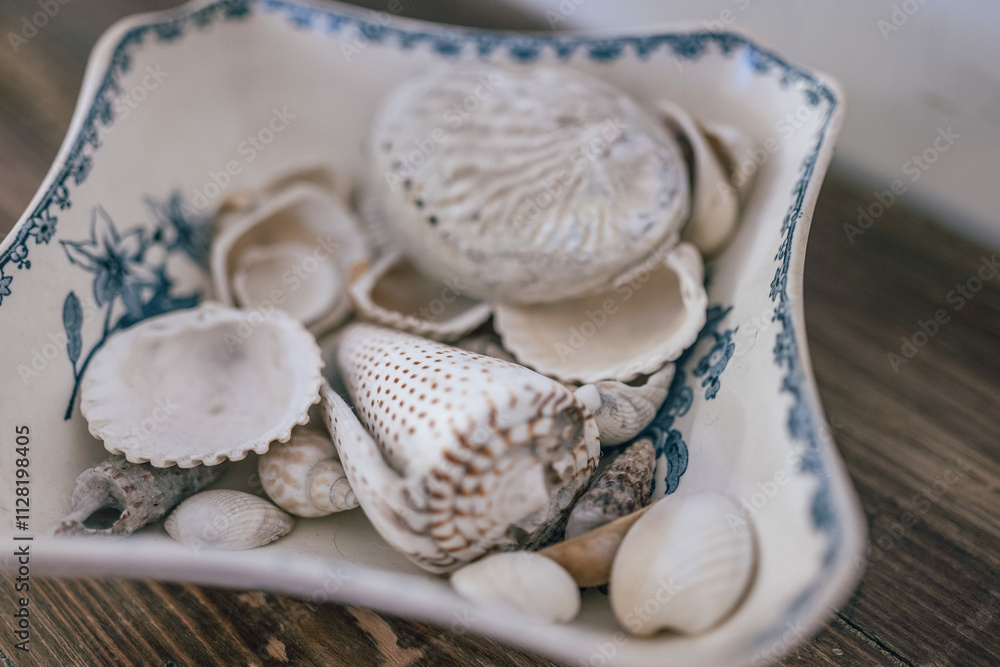 Das Bild zeigt eine Sammlung von Muscheln und Schneckenhäusern, die in einer dekorativen Schale mit blauen Verzierungen arrangiert sind. Die Schale steht auf einer hölzernen Oberfläche. Das Bild zeigt eine Sammlung von Muscheln und Schneckenhäusern, die in einer dekorativen Schale mit blauen Verzierungen arrangiert sind. Die Schale steht auf einer hölzernen Oberfläche.