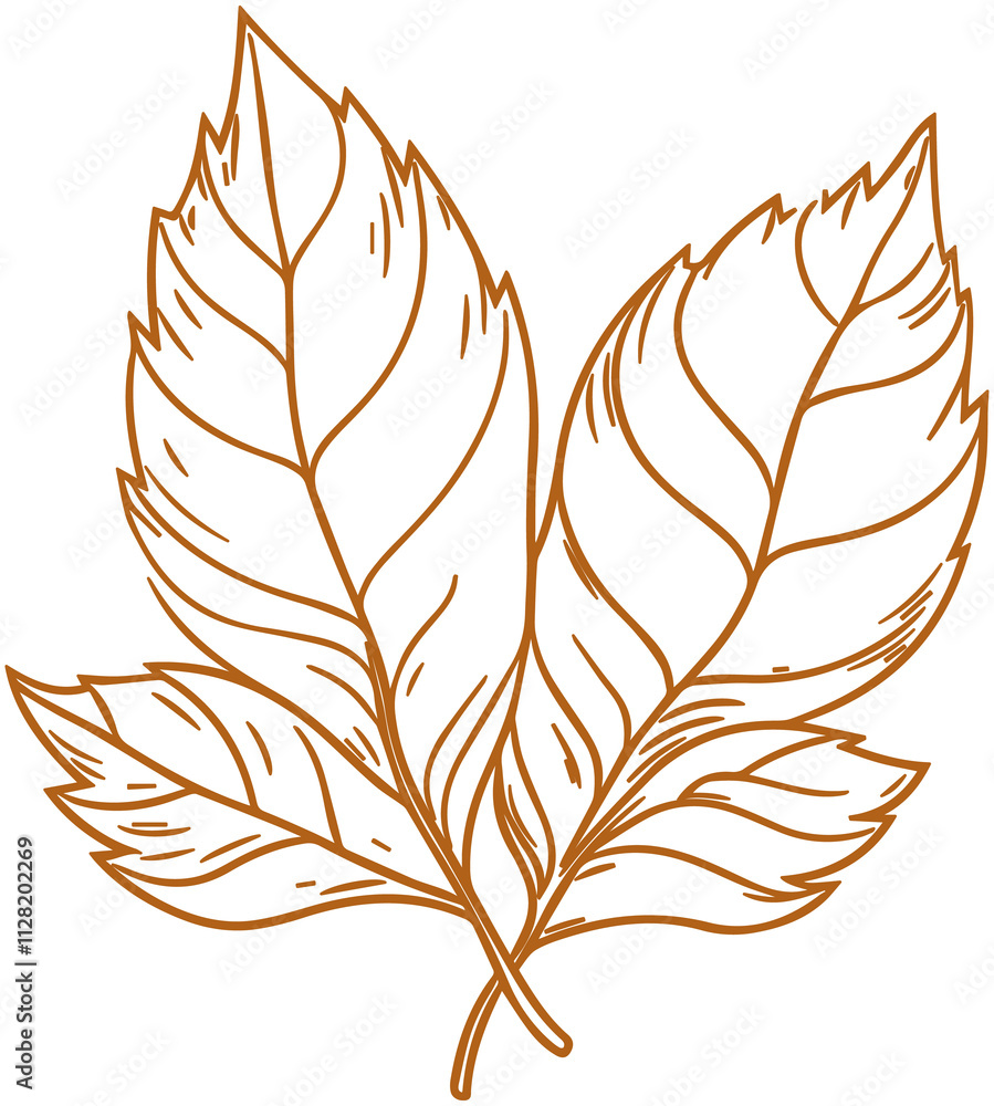 Obraz premium Pumpkin leaves