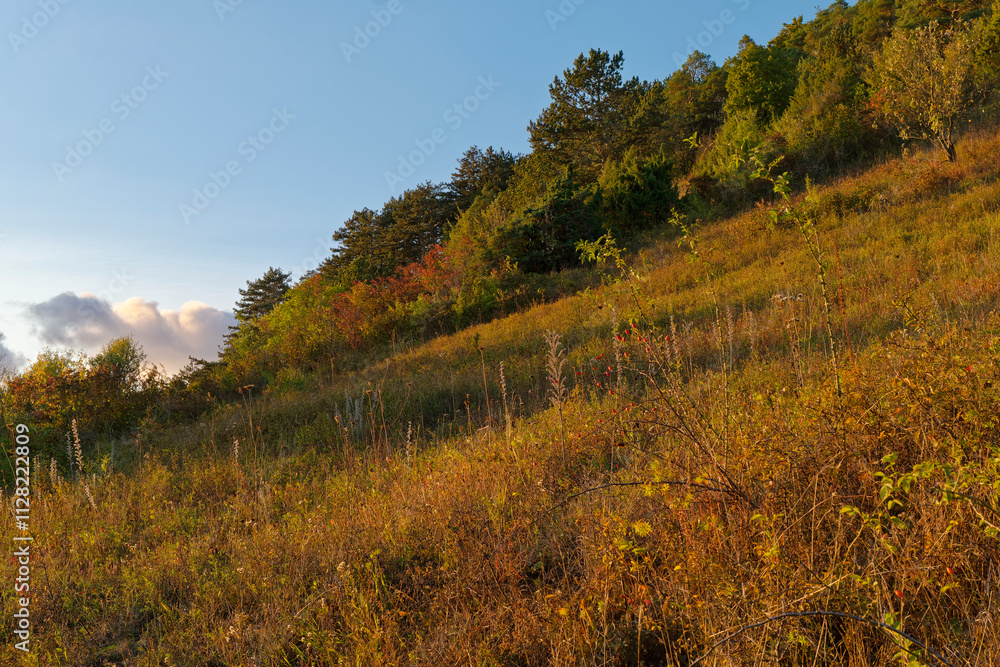 Naturschutzgebiet Haarberg zwischen den Weinorten Euerdorf und Wirmsthal im Abendlicht, Landkreis Bad Kissingen, Franken, Unterfranken, Bayern, Deutschland Naturschutzgebiet Haarberg zwischen den Weinorten Euerdorf und Wirmsthal im Abendlicht, Landkreis Bad Kissingen, Franken, Unterfranken, Bayern, Deutschland