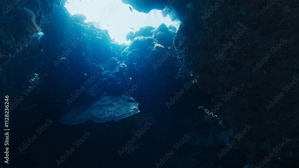 Fototapeta premium Sunbeams are illuminating the entrance of an underwater cave. Raja Ampat, Indonesia