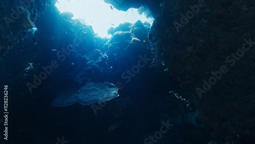 Wallpaper Mural Sunbeams are illuminating the entrance of an underwater cave. Raja Ampat, Indonesia Torontodigital.ca