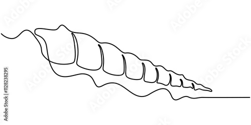 snail conch continuous line vector illustration, Continuous one line drawing of conch snail shell. Seashell symbol and banner of beauty spa and wellness salon in simple linear style. Editable stroke. 
